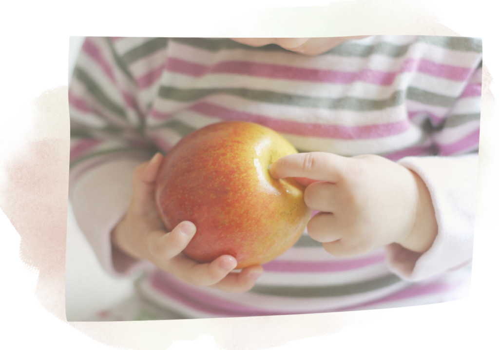 Enfant découvrant différents aliments lors d'un repas.