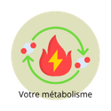 Illustration représentant le métabolisme et les paramètres de santé pouvant influencer les besoins alimentaires.