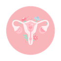 Illustration représentant les différentes étapes de vie et les besoins spécifiques liés à la santé de la femme.