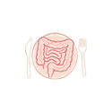 Illustration représentant une assiette associée au système digestif pour symboliser l’accompagnement des troubles digestifs liés à l’alimentation